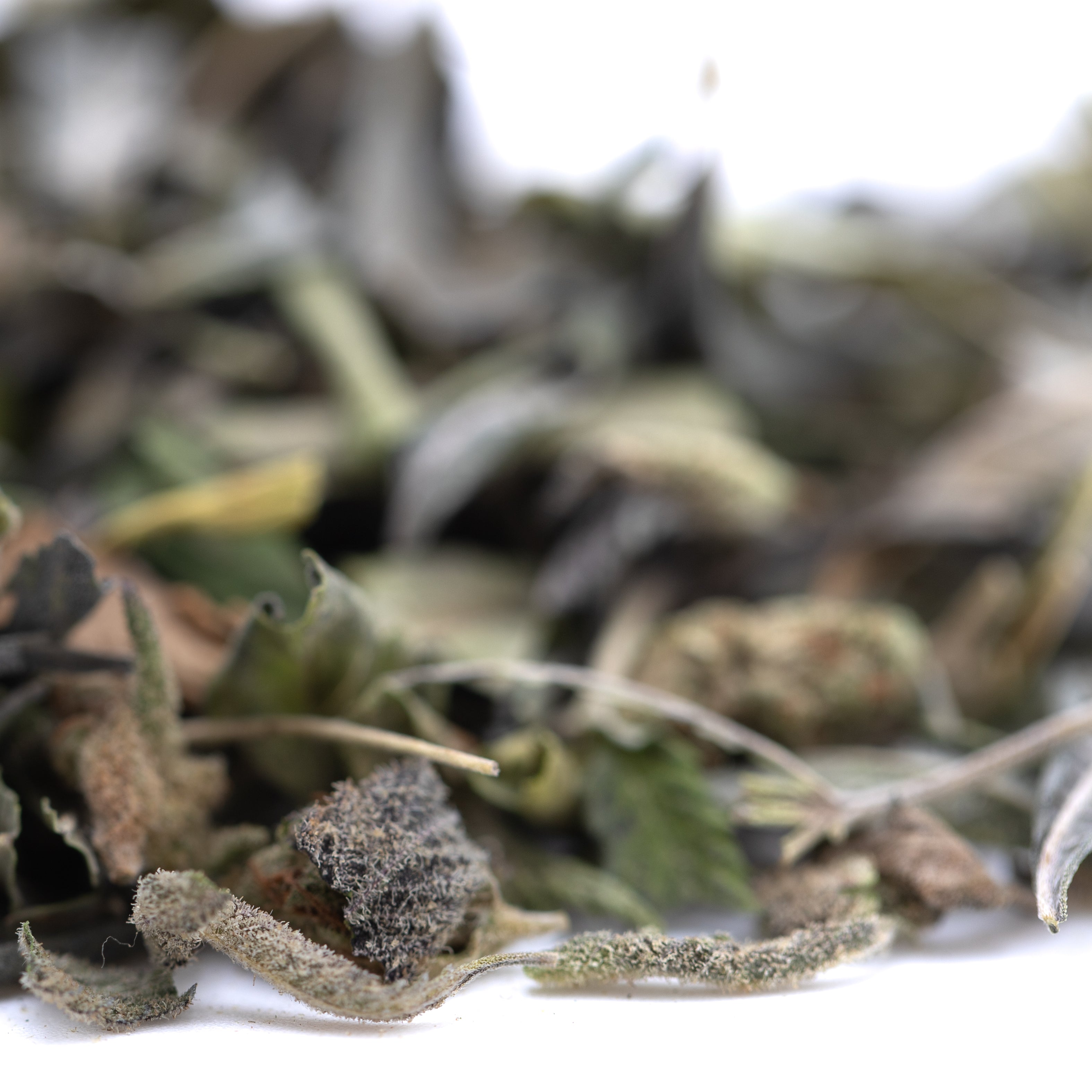 GAS Greenhouse THCa Trim Wholesale - Oregon Hemp Flower