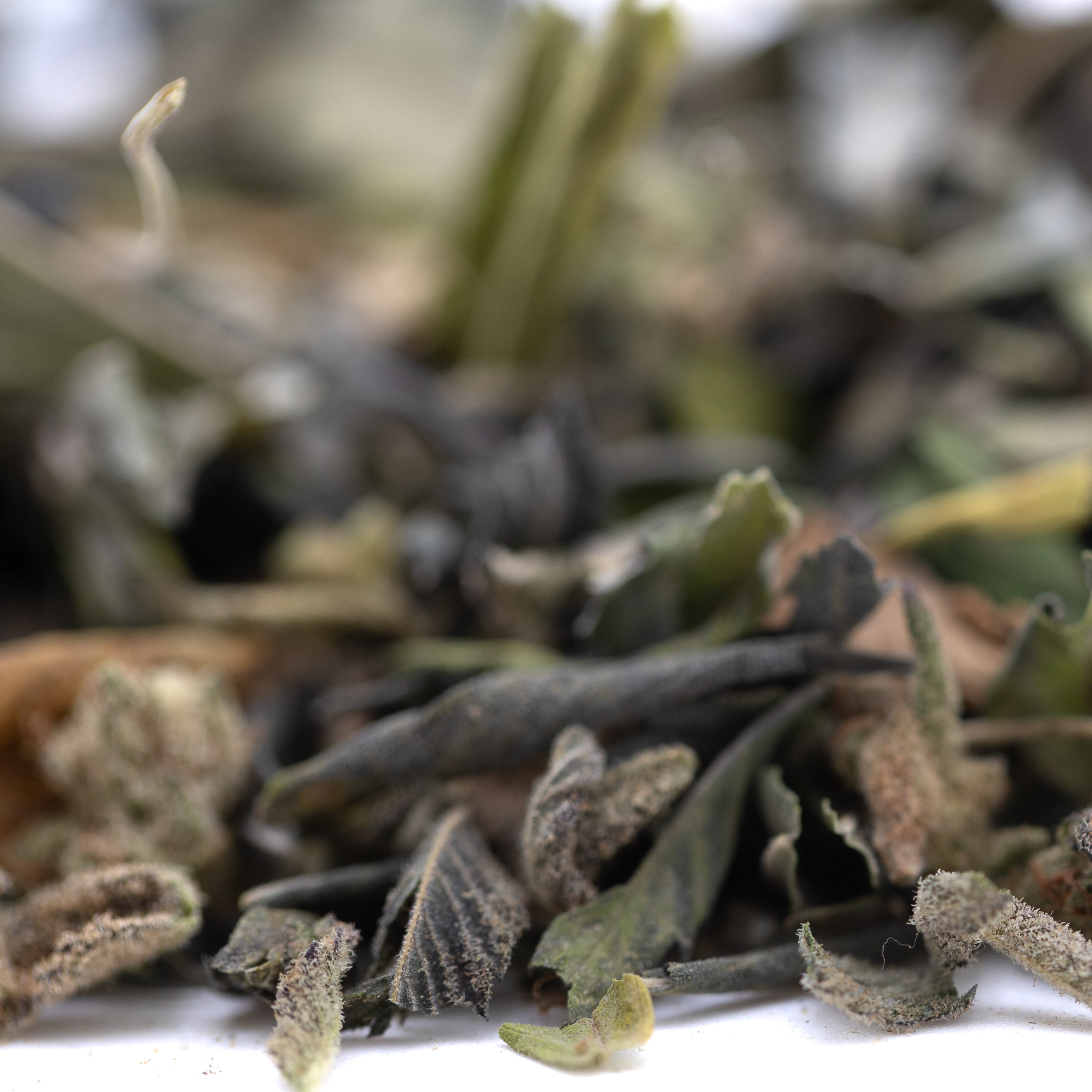 GAS Greenhouse THCa Trim Wholesale - Oregon Hemp Flower