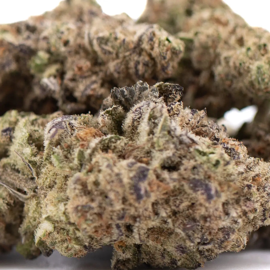 Greenhouse THCA Flower Showdown