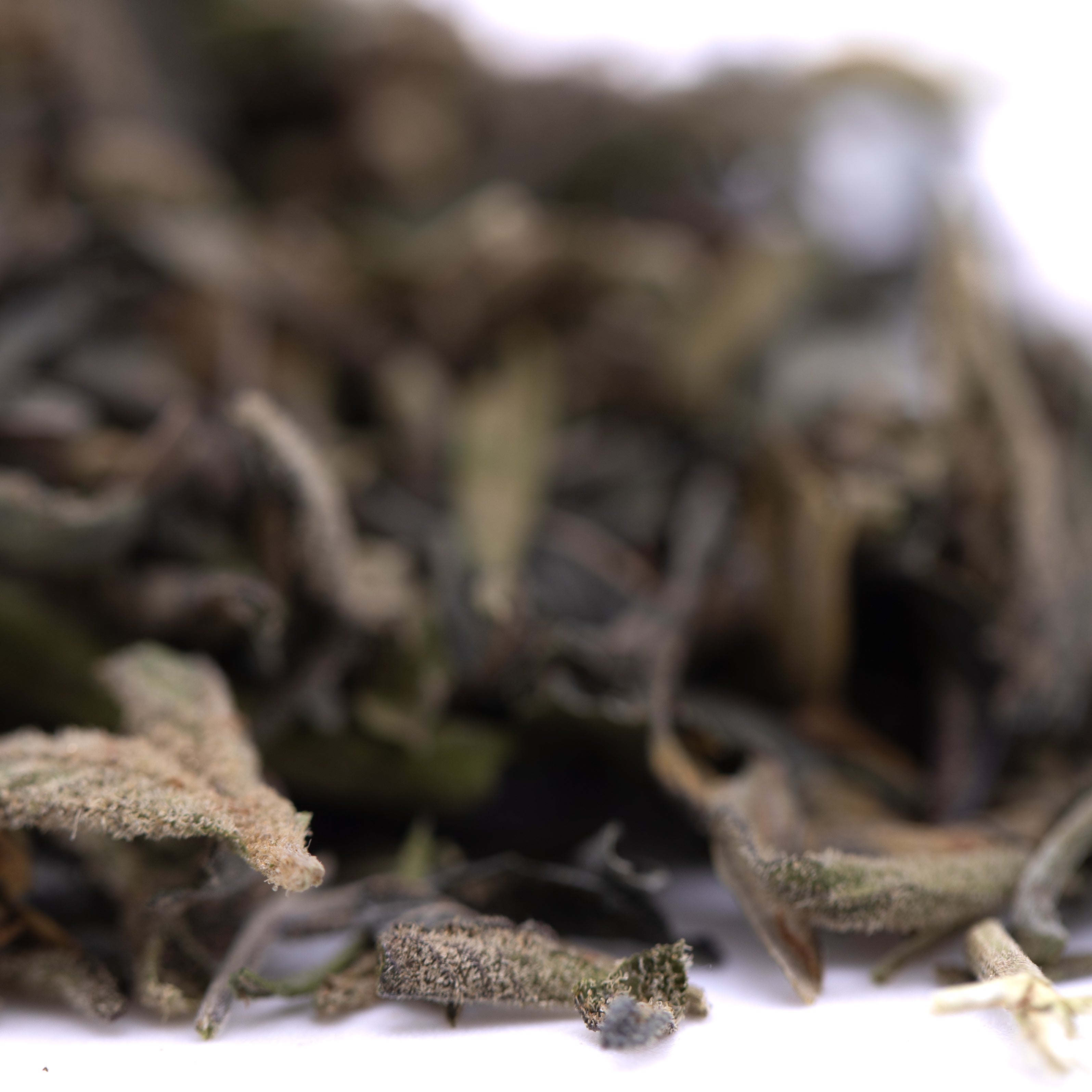 Gassa Purple Greenhouse THCa Trim Wholesale - Oregon Hemp Flower