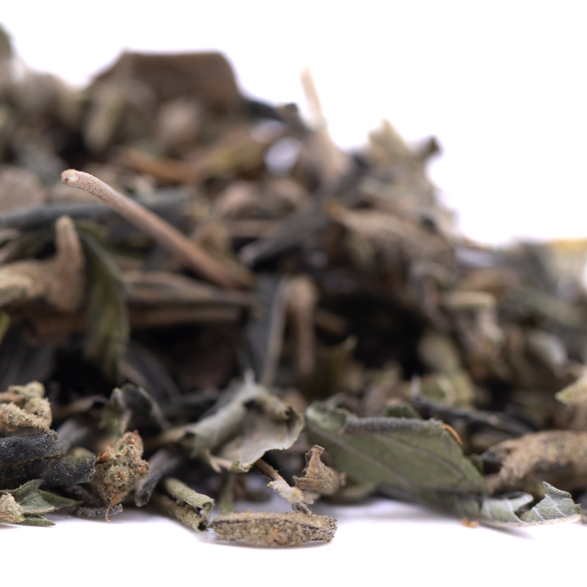 Gassa Purple Greenhouse THCa Trim Wholesale - Oregon Hemp Flower