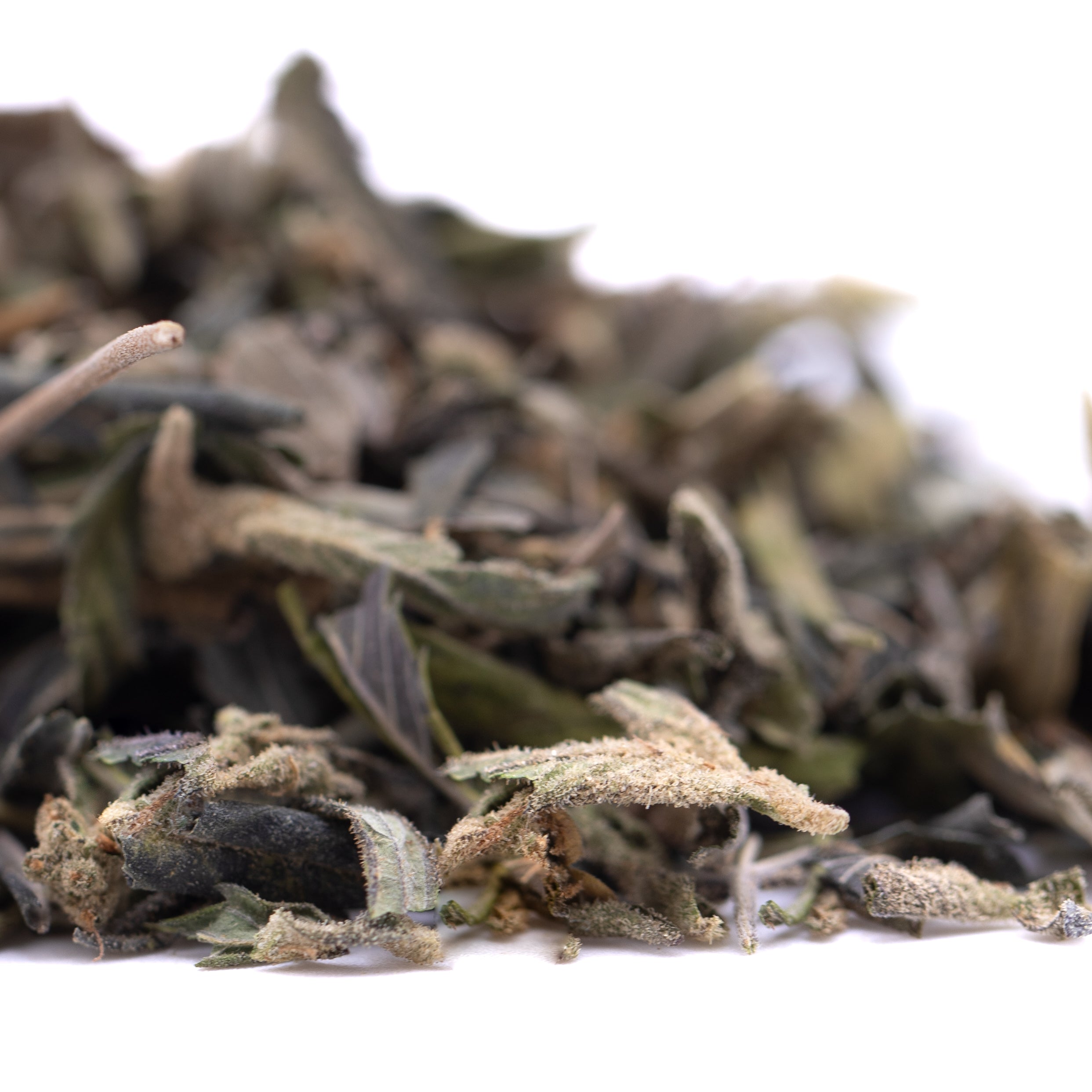 Gassa Purple Greenhouse THCa Trim Wholesale - Oregon Hemp Flower