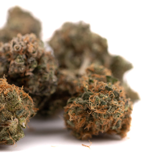 Gelato Mints Indoor THCa Flower - Plants