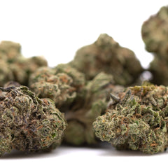 Gelato THCa Greenhouse Smalls Wholesale