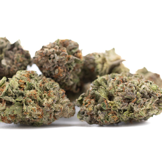 Gelato THCa Hemp Flower Greenhouse Wholesale