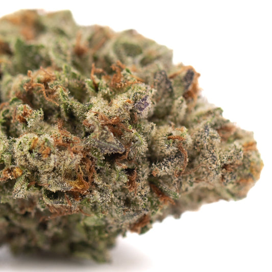 Gelato THCa Hemp Flower Greenhouse - Plants