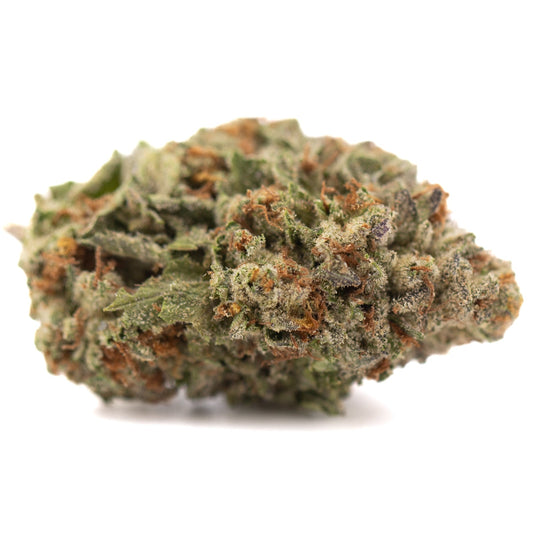Gelato THCa Hemp Flower Greenhouse - Plants