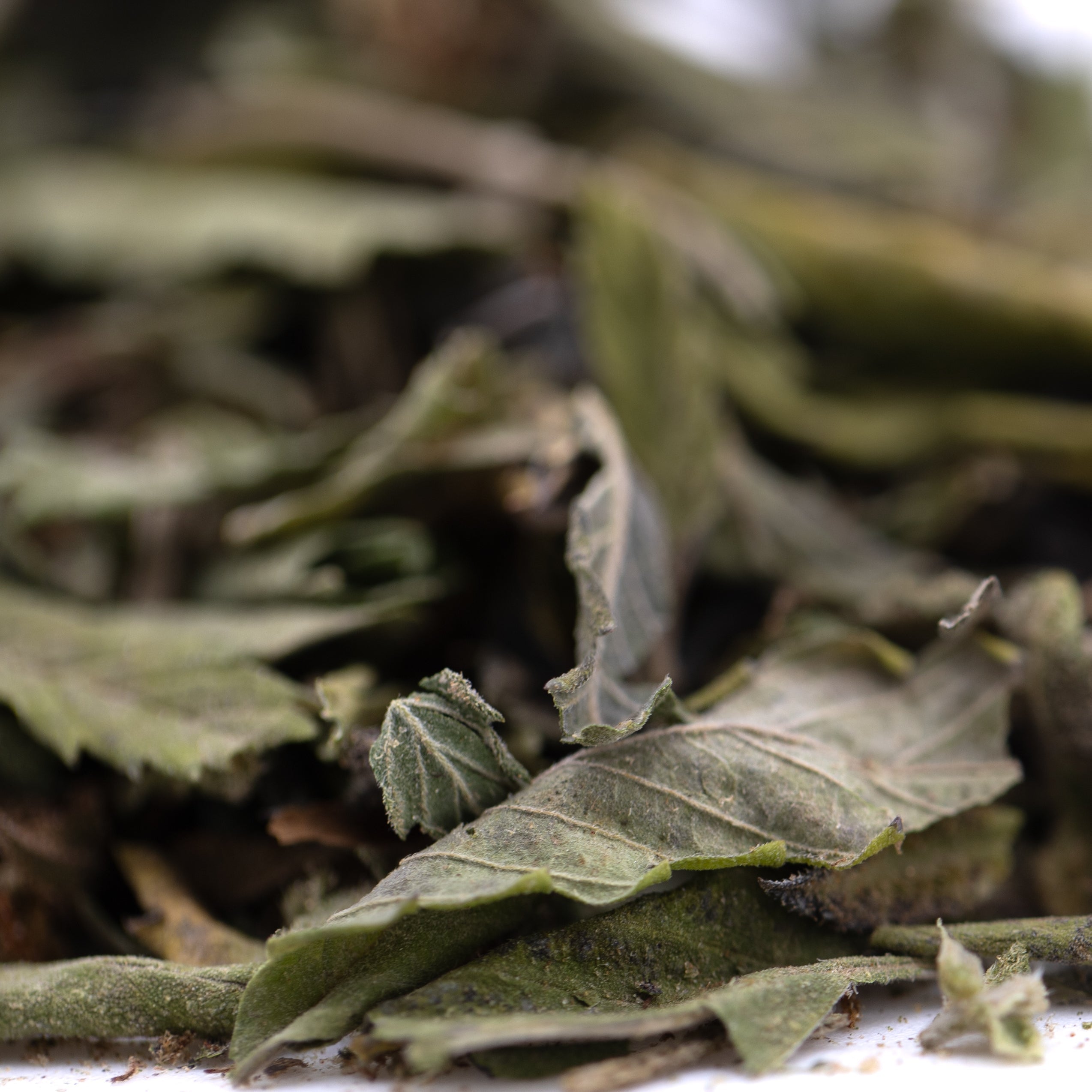 Gelato Greenhouse THCa Trim Wholesale - Oregon Hemp Flower