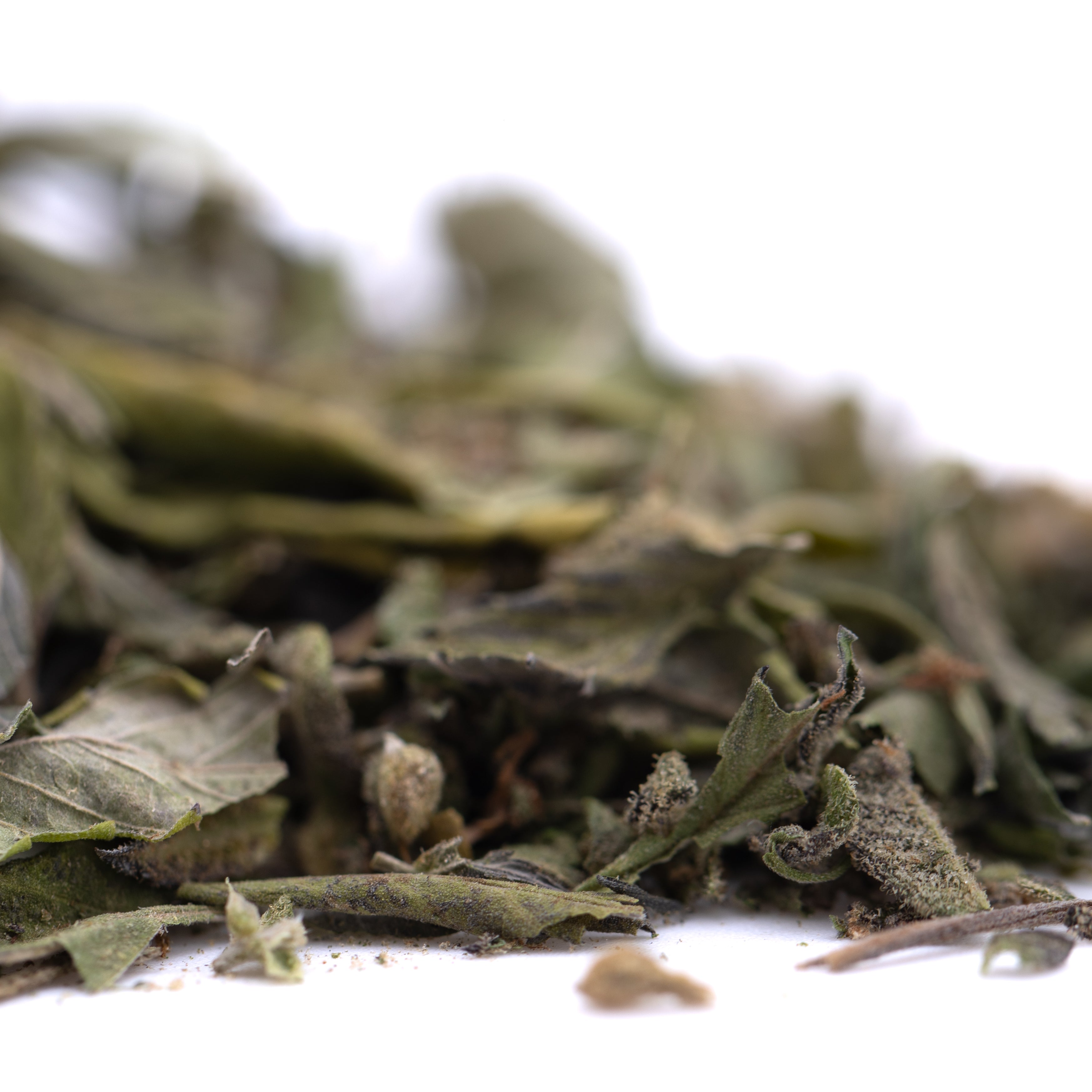 Gelato Greenhouse THCa Trim Wholesale - Oregon Hemp Flower