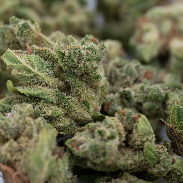 THCA vs THC: