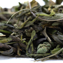 Giggle Gas Greenhouse THCa Trim Wholesale