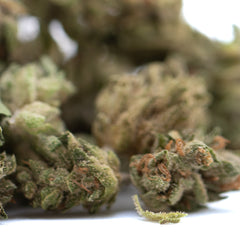Glue CBD Hemp Flower Full-Term Smalls