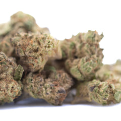 Government Oasis THCa Hemp Flower Greenhouse Smalls