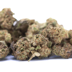 Government Oasis THCa Hemp Flower Greenhouse Smalls
