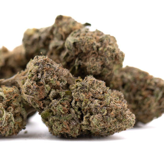 Government Oasis THCa Hemp Flower Greenhouse Wholesale