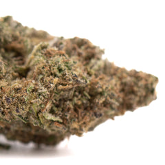 Government Oasis THCa Hemp Flower Greenhouse Wholesale