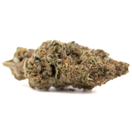 Government Oasis THCa Hemp Flower Greenhouse - Plants