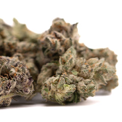 Granny Crack Indoor THCa Flower - Plants