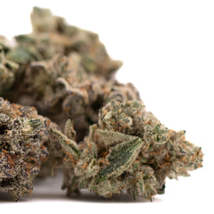 Granny Crack Indoor THCa Flower - Plants