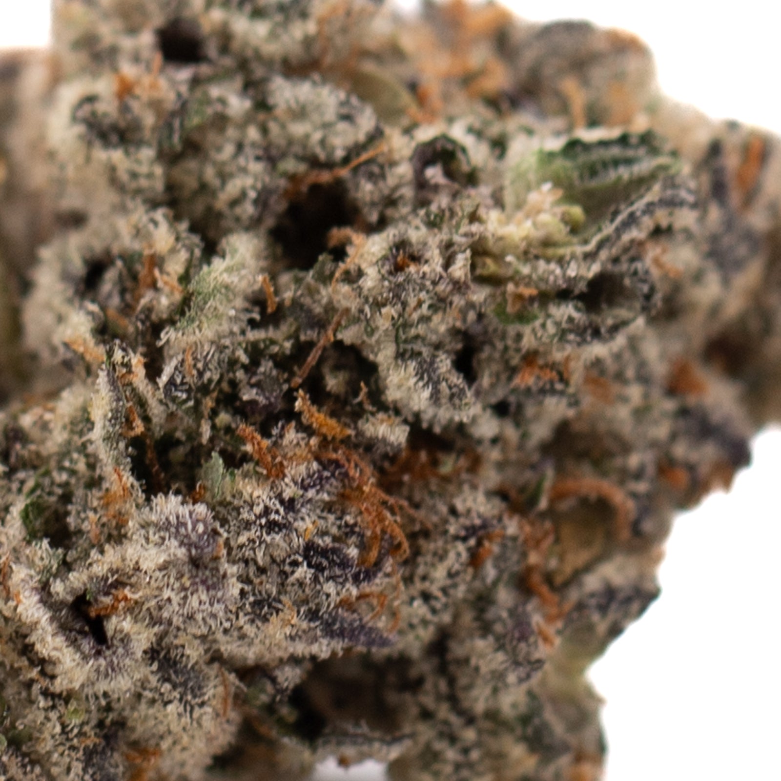 Granny Crack Indoor THCa Flower - Plants