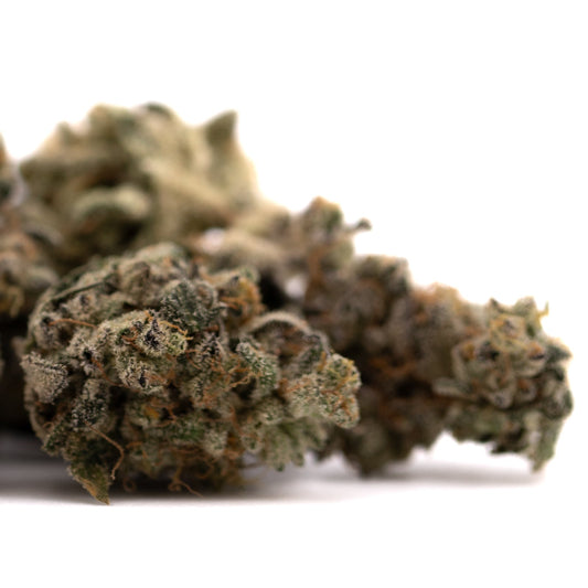 Green Crack Indoor THCa Flower - Plants