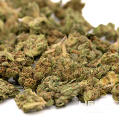 Guava Tartz Greenhouse THCa Flower Smalls Wholesale - Plants