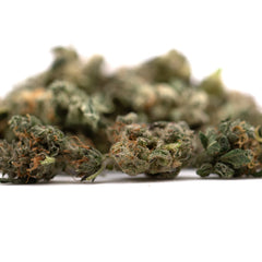 Guava Z Indoor THCa Flower Smalls - Plants
