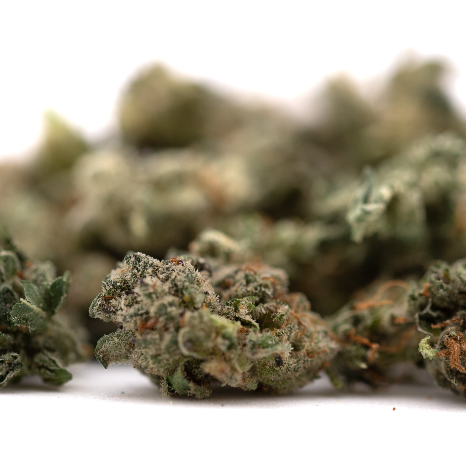 Guava Z Indoor THCa Flower Smalls - Plants