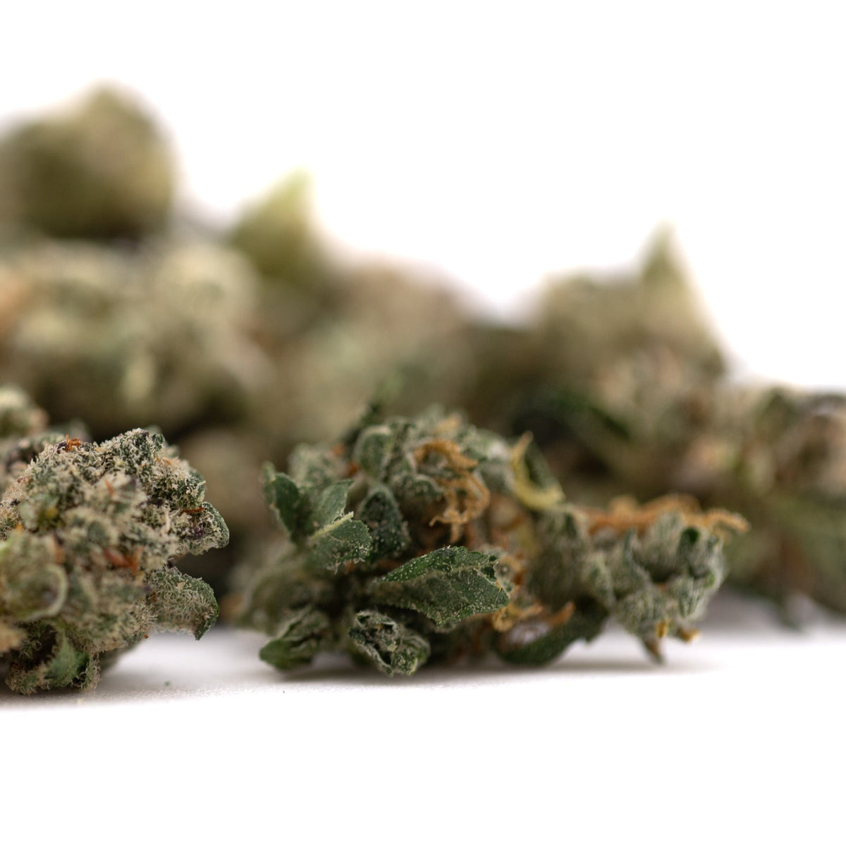 Guava Z Indoor THCa Flower Smalls - Plants