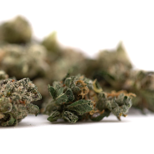 Guava Z Indoor THCa Flower Smalls - Plants