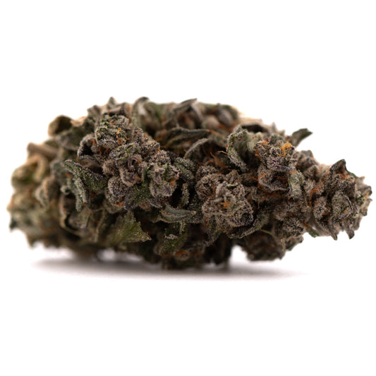 Guava Z Indoor THCa Flower - Plants