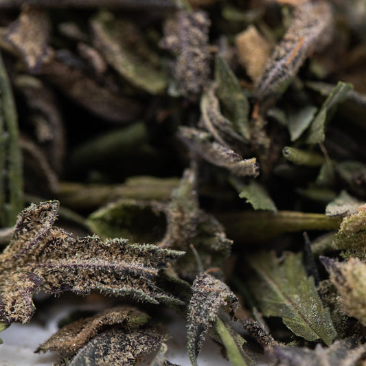 Halle Berry Greenhouse THCa Trim Wholesale