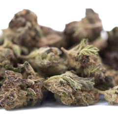 Halle Berry THCa Hemp Flower Greenhouse Smalls