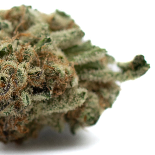 Hash Man Indoor THCa Flower - Plants