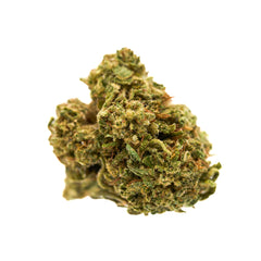 Hawaiian Haze Delta 8 Hemp Flower - Plants