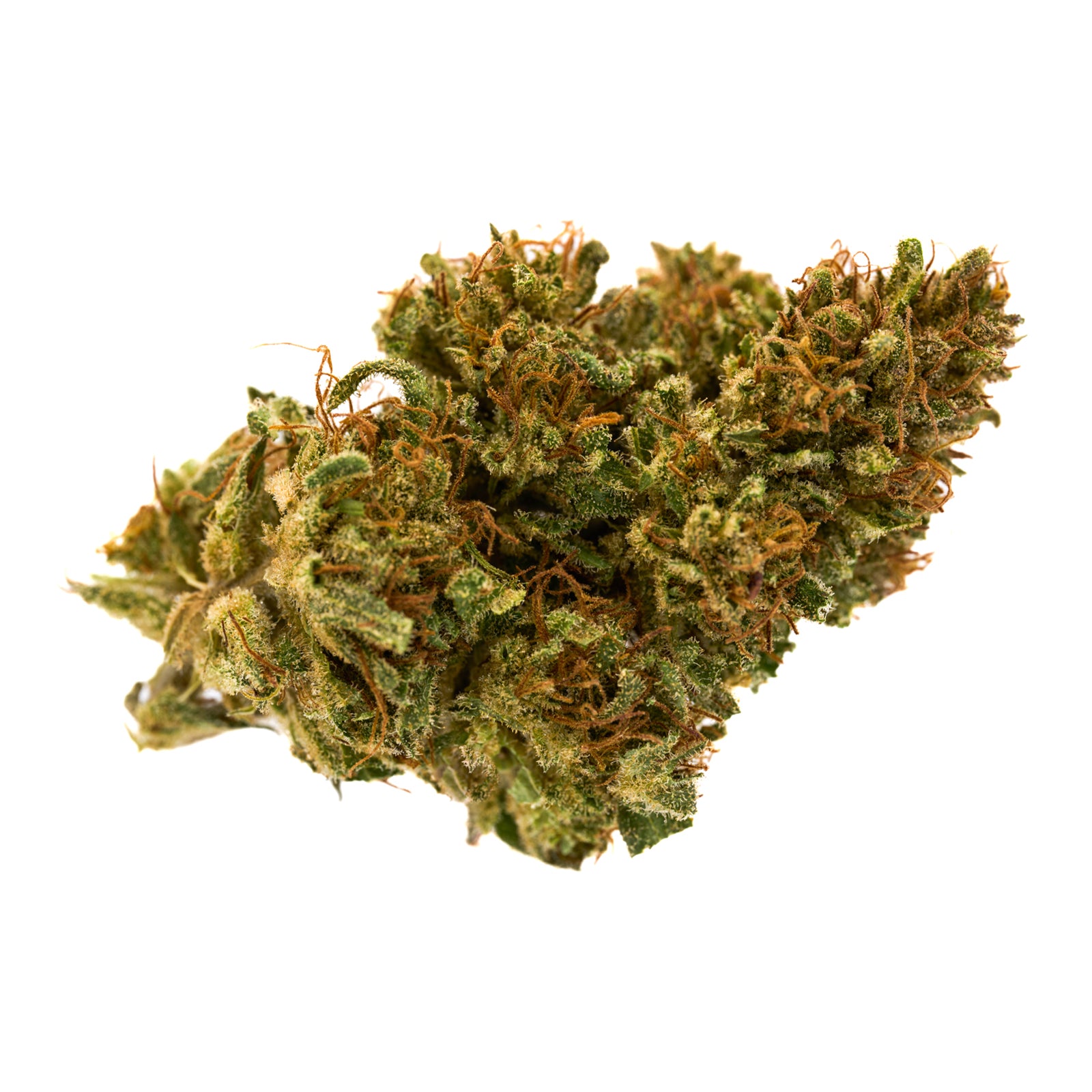 Dried Hawaiian Haze CBD Hemp Flower bud with dense green and orange trichomes