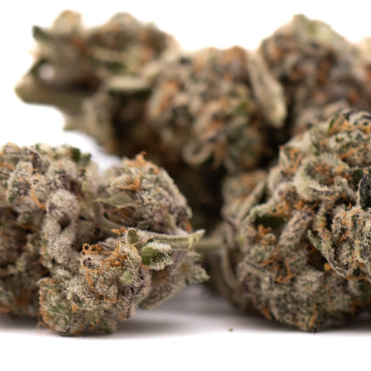 Hooch Indoor THCa Flower - Plants