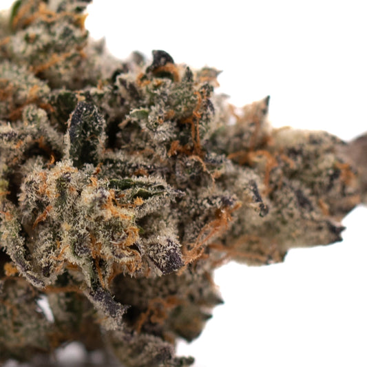 Hooch Indoor THCa Flower - Plants