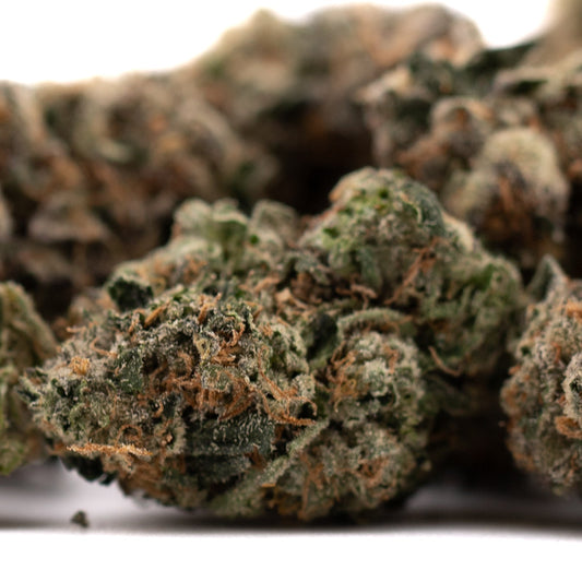 Humboldt Indoor THCa Flower - Plants