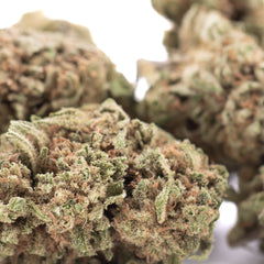 Humbolt Dream THCa Hemp Flower Greenhouse