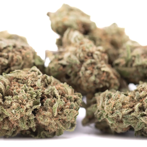 Jealousy vs Humboldt Dream THCA Flower