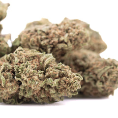 Humbolt Dream THCa Hemp Flower Greenhouse