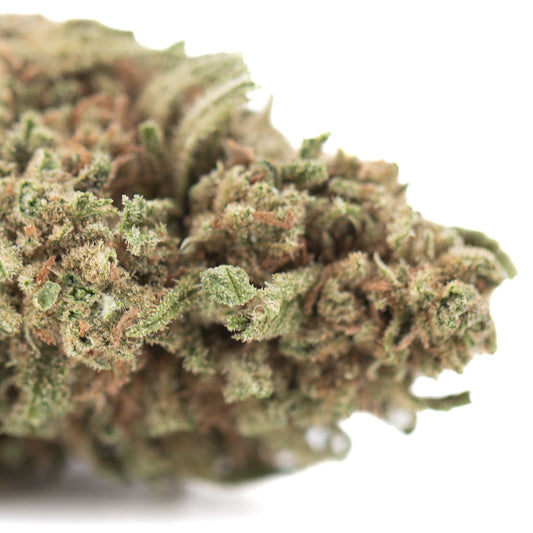 Humbolt Dream THCa Hemp Flower Greenhouse