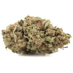 Humbolt Dream THCa Hemp Flower Greenhouse