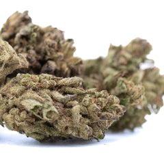 Ice Cream THCa Flower Full-Term