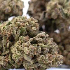 Ice Cream THCa Flower Full-Term