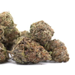 Jealousy THCa Hemp Flower Greenhouse