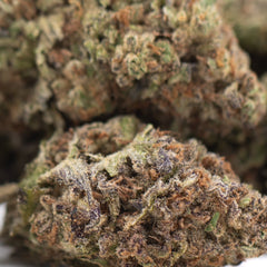 Jealousy THCa Hemp Flower Greenhouse