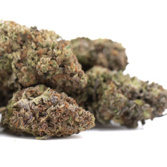 Jealousy THCa Hemp Flower Greenhouse