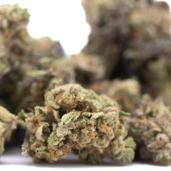 Jealousy THCa Hemp Flower Greenhouse Smalls